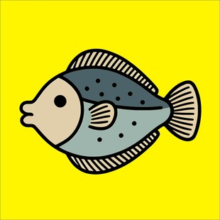 卡通扁平风比目鱼插画