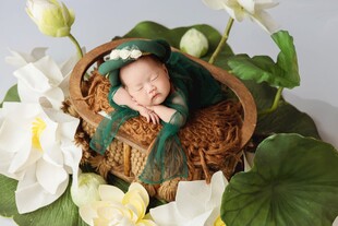 睡在鸟巢中的可爱新生宝宝