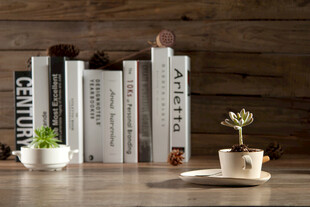 书架上的书籍与绿植点缀