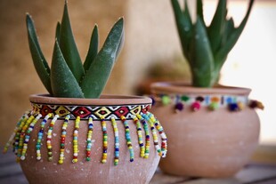 串珠装饰的可爱多肉盆栽