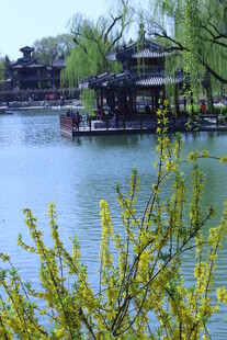 公园风景  