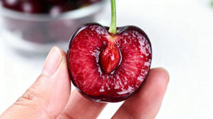 手捧切开的鲜红大樱桃