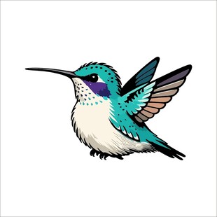 飞翔的蜂鸟插画