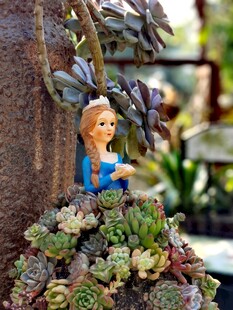 多肉旁的可爱人偶摆件