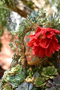 娇艳红花绽于绿植间