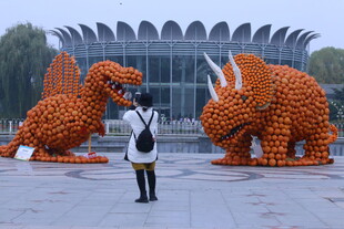 公园风景 