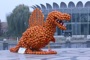 公园风景  