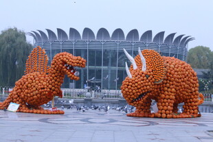 公园风景  
