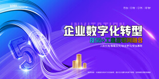 会议背景