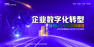 会议背景
