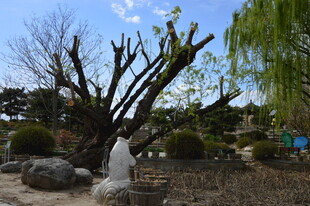 公园风景 