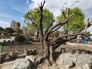 公园风景 