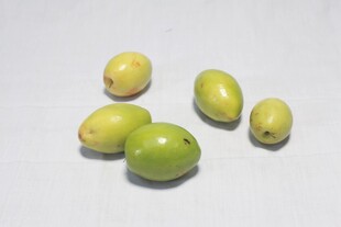 青橄榄果实