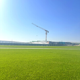 绿地上的高耸起重机