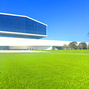 现代建筑旁的翠绿草坪