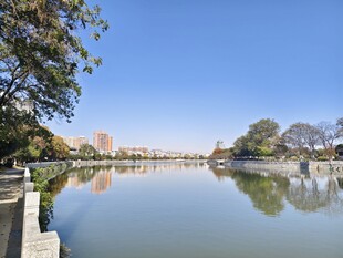 湖畔美景