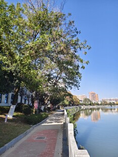 河畔绿树休闲步道