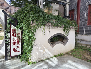 爬满绿植 围墙