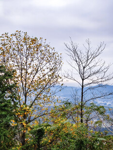 秋日山林远景
