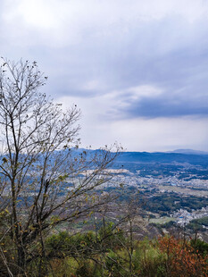 山巅远眺