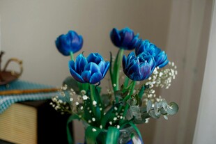 蓝郁金香插于绿瓶中