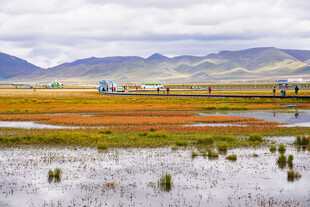 若尔盖草原湿地风光美景