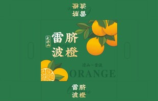 橙子包装 平面展开图