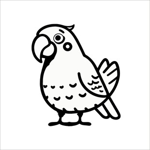 卡通鹦鹉简笔画