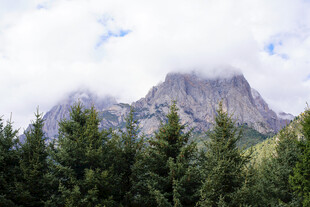 云雾缭绕的山林与巍峨山峰