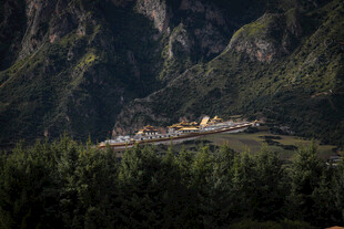 山间寺庙隐于葱郁树林间