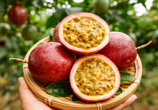 竹篮里的百香果