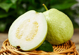 竹篮中的白心番石榴