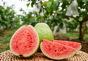 切开的红心番石榴