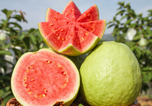 切开的红心番石榴