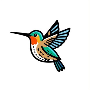 飞翔的多彩蜂鸟插画