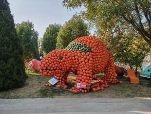 公园风景  