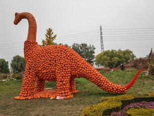 公园风景 