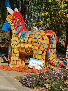 公园风景  