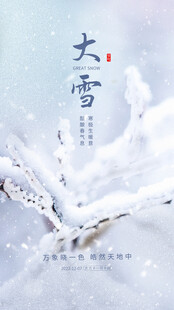 唯美大雪海报