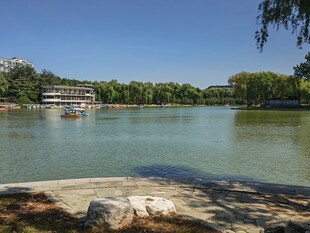 公园风景 