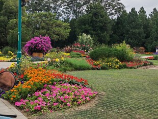 天坛花境风景  