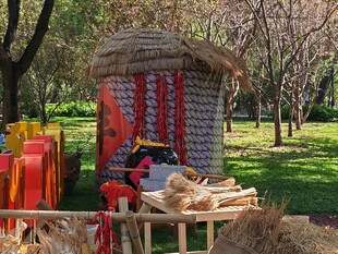 公园风景 陶然亭风景 芦苇 芦
