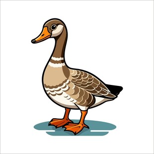 站立的棕色鸭子插画