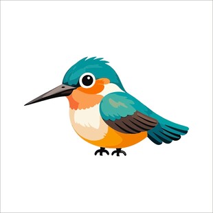 可爱翠鸟插画