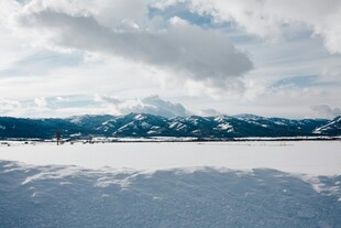 雪覆大地与远山的纯净景致