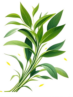 翠绿枝叶清新自然植物