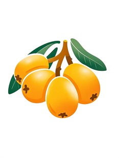 枝头黄枇杷清新诱人