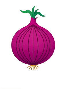 紫色洋葱插画