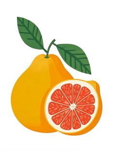 鲜美的桃子插画