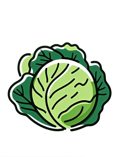 卡通卷心菜插画